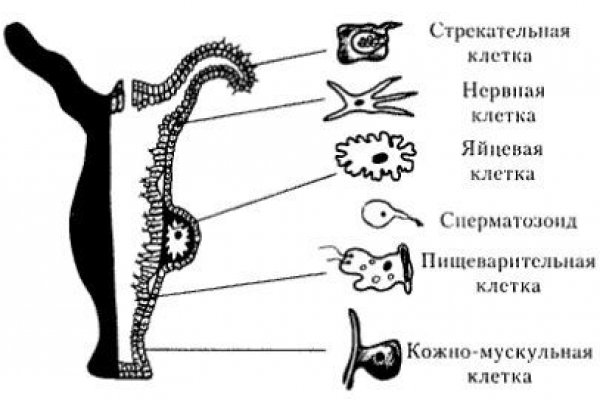 Сайт наркотиков купить