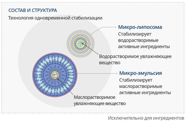 Ссылка на кракена для тора